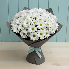 Букет цветов из:  Хризантемы #REPLACE_PRED# Знаменское Одинцовского района